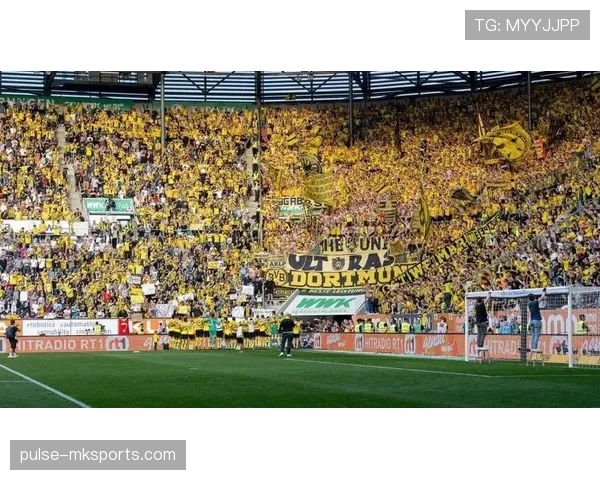 多特蒙德控球强势复苏，重燃德甲争冠希望