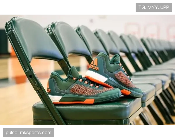 布雷默身价飙升记录