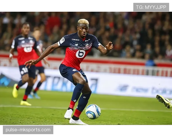 奥斯梅恩与努涅斯：冲击型中锋的两种发展路径对比分析